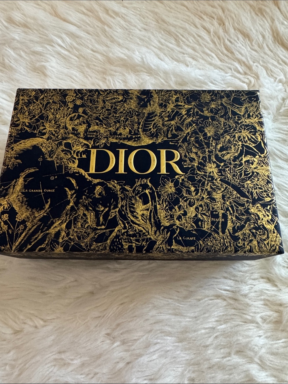 DIOR Black and Gold Signature Floral Wall Panel